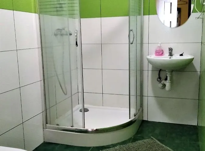 بيت شباب Omega رشيشوف