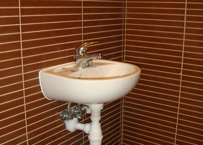 بيت شباب Omega رشيشوف