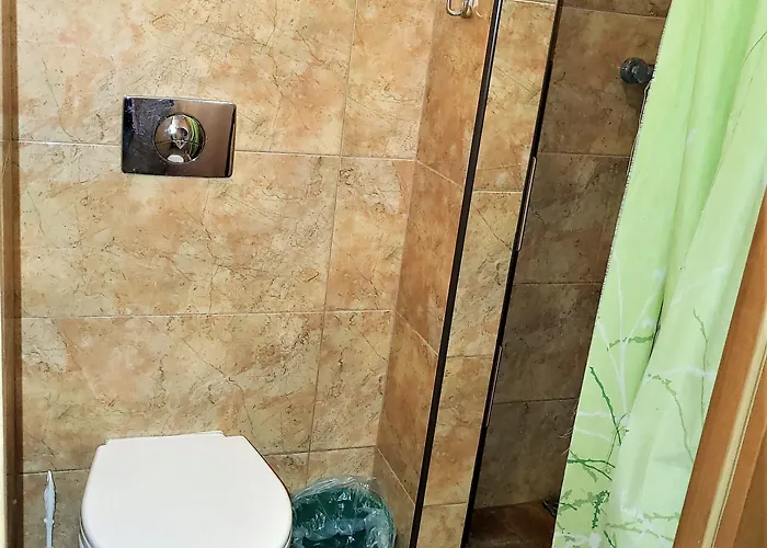 بيت شباب Omega رشيشوف