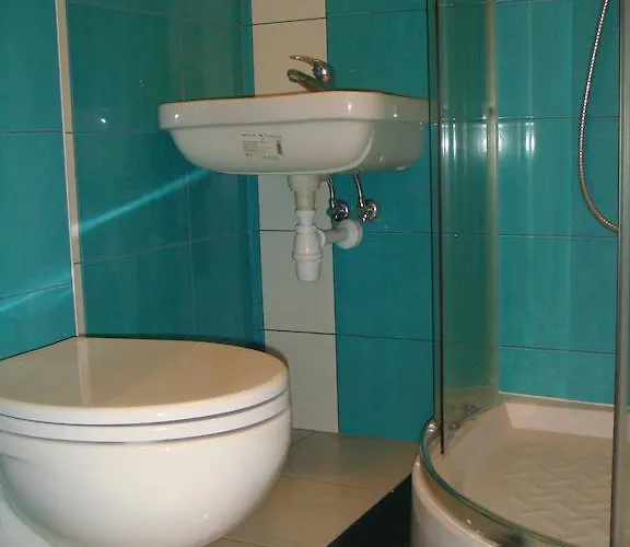 بيت شباب Omega رشيشوف